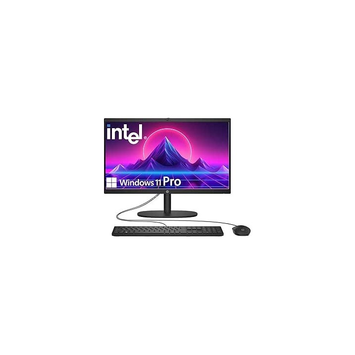 HP 2025 22" FHD All-in-One Desktop Computer